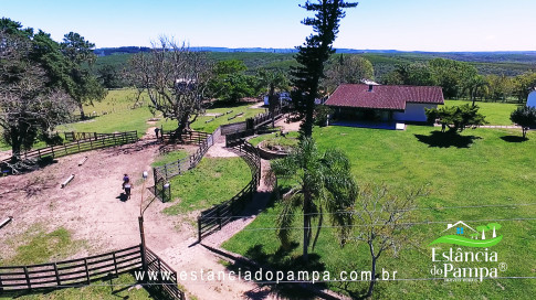 VAI ATE MANGUEIRA OVELHAS.00_05_57_23.Quadro077_ae316fff34eca2721927a20b02a866eef3dff4c2.jpg